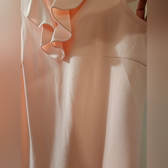 NWT Short Dress. Size 14. Light Blush Color. - Picture 4 of 9